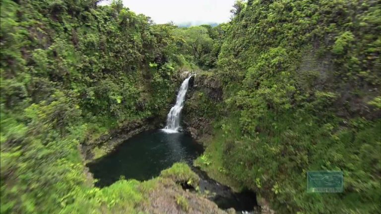 Beautiful Central Maui