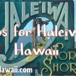 Haleiwa North Shore Tour