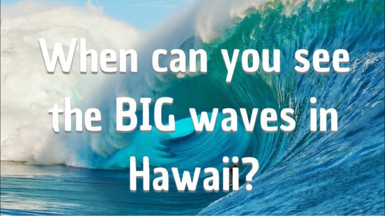 LIVE VIDEO – North Shore Beaches Hawaii – Waimea Bay Beach North Shore