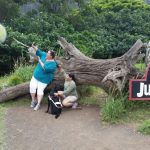 jurassic park tour