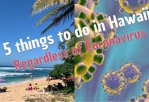 Things to do in Hawaii Regardless of Coronavirus