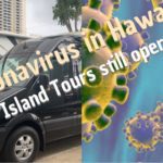 Coronavirus in Hawaii – Tours and Activities Operating?