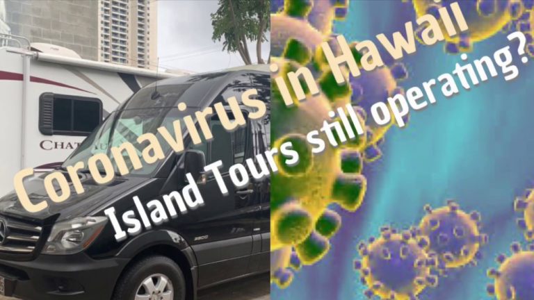 Coronavirus in Hawaii – Daniels Hawaii Safety Measure