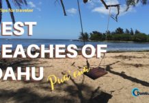 Puaena Beach Best Beaches of Hawaii
