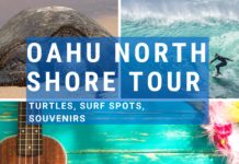 Oahu North Shore Tour