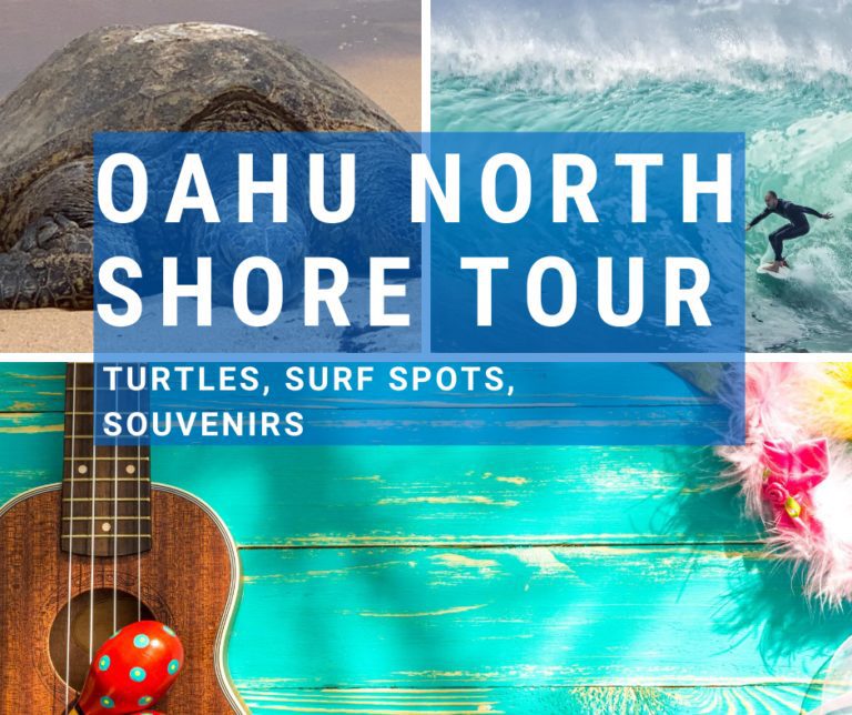 Oahu North Shore Tour