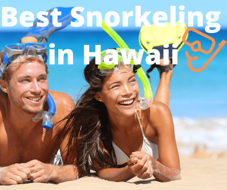 Best Snorkeling Hawaii