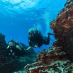 Divers about Hanauma Bay Reopening