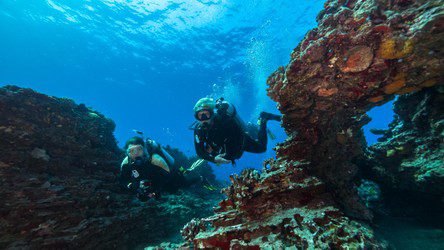Divers about Hanauma Bay Reopening