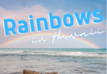 Rainbows in Hawaii