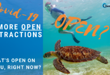 5 MORE Open Activites Oahu - Right NOW