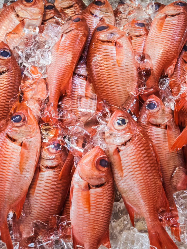 Fresh fish are not too expensive and provide essential nutrition.
