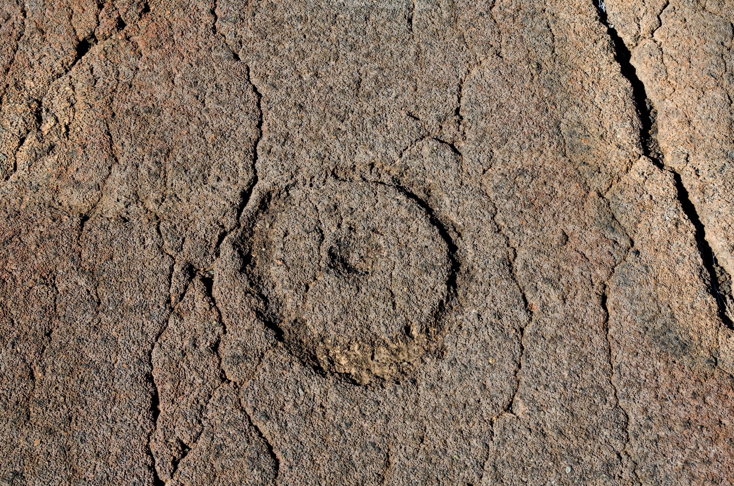 Circle petroglyph on the Big Island