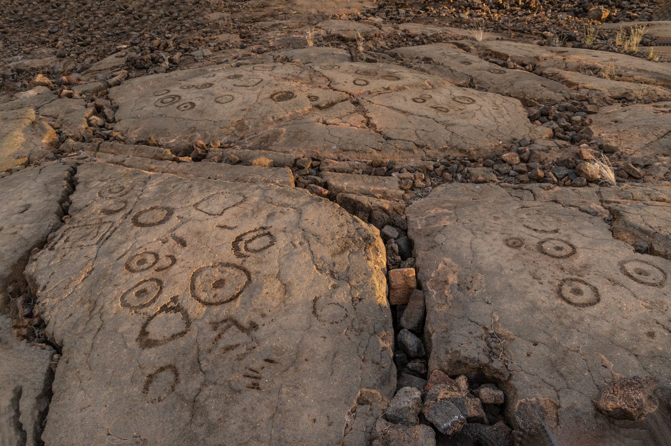 Circle petroglyph on the Big Island