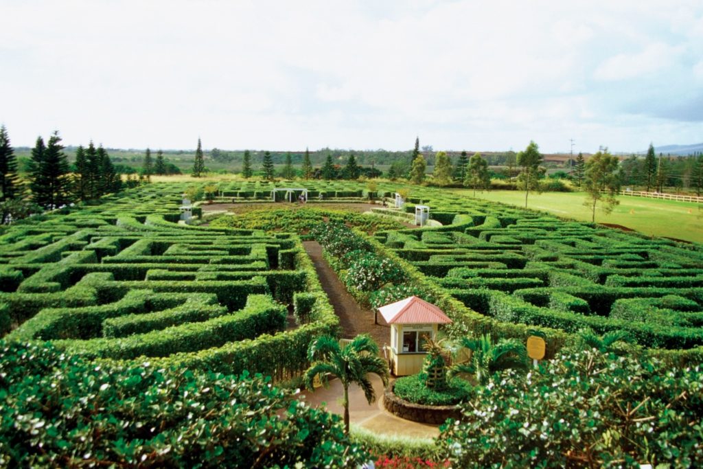 The world's largest plant maze on Oahu