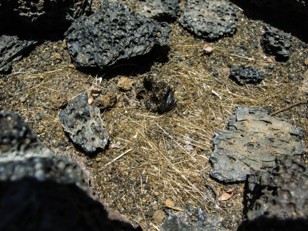 Pele's Hair are thin glass pieces of volcanic basalt