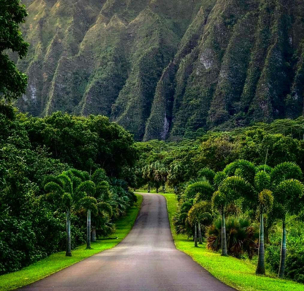 Hoʻomaluhia-Botanical-Gardens-Kaneohe. Famous Instagram location on Oahu.