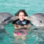 swim-with-dolphins