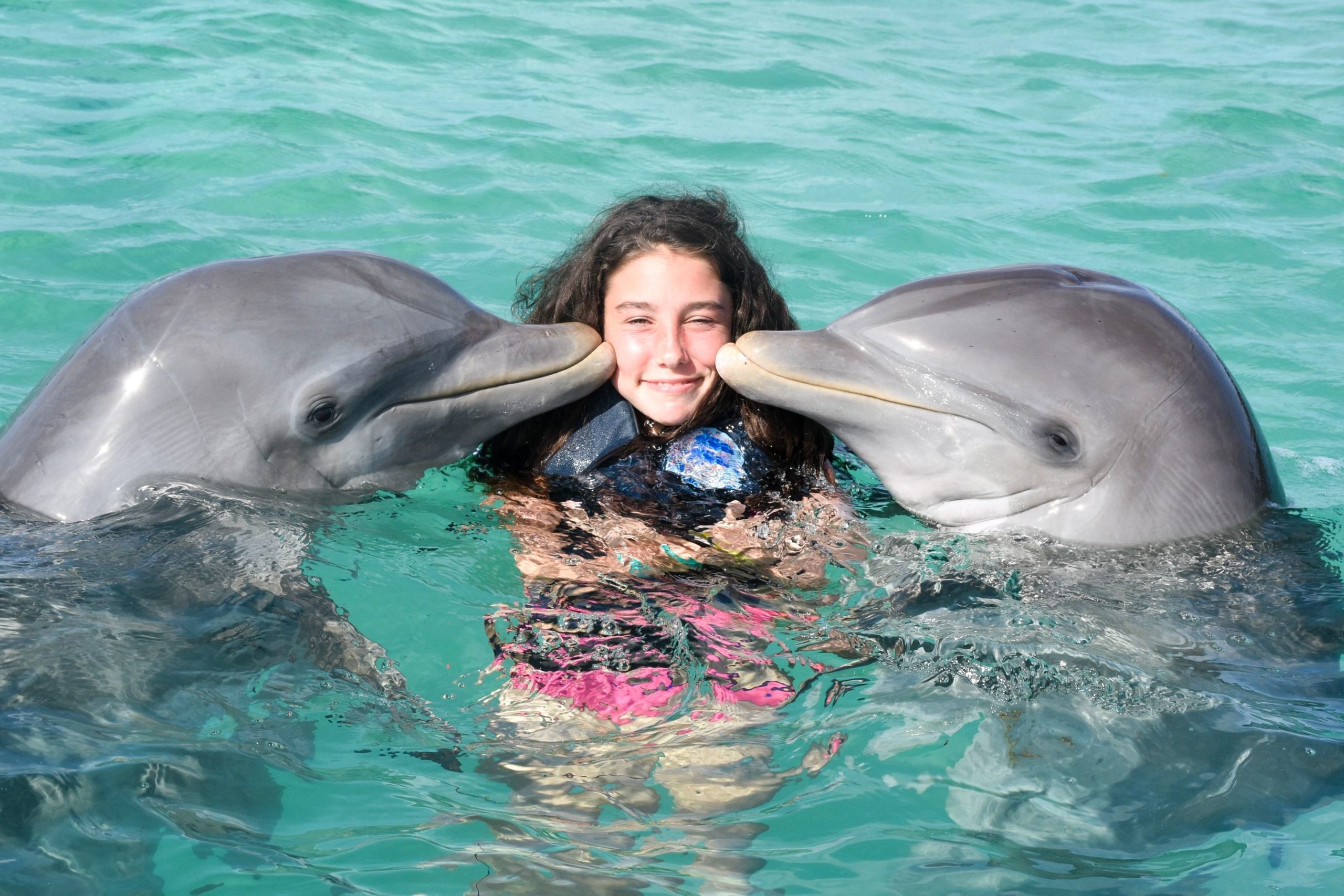 Swim with dolphins in Hawaii