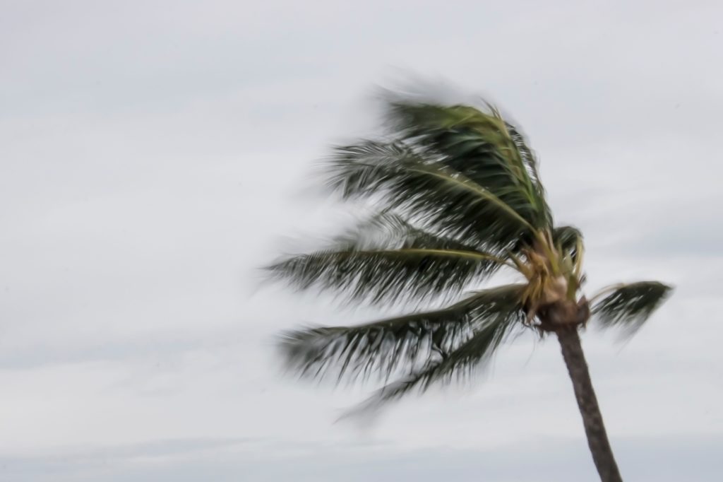 Weather in Hawaii can sometimes bring strong winds.
