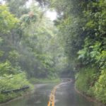 Rain on a Maui Highway