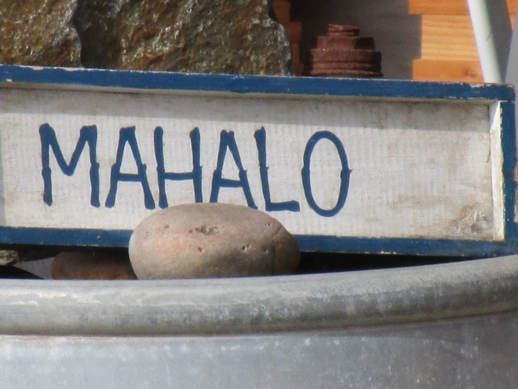 Mahalo is one of the commonly used Hawaiian words.