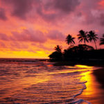 Hawaiian,Sunset