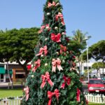 Christmas tree in Hawaii