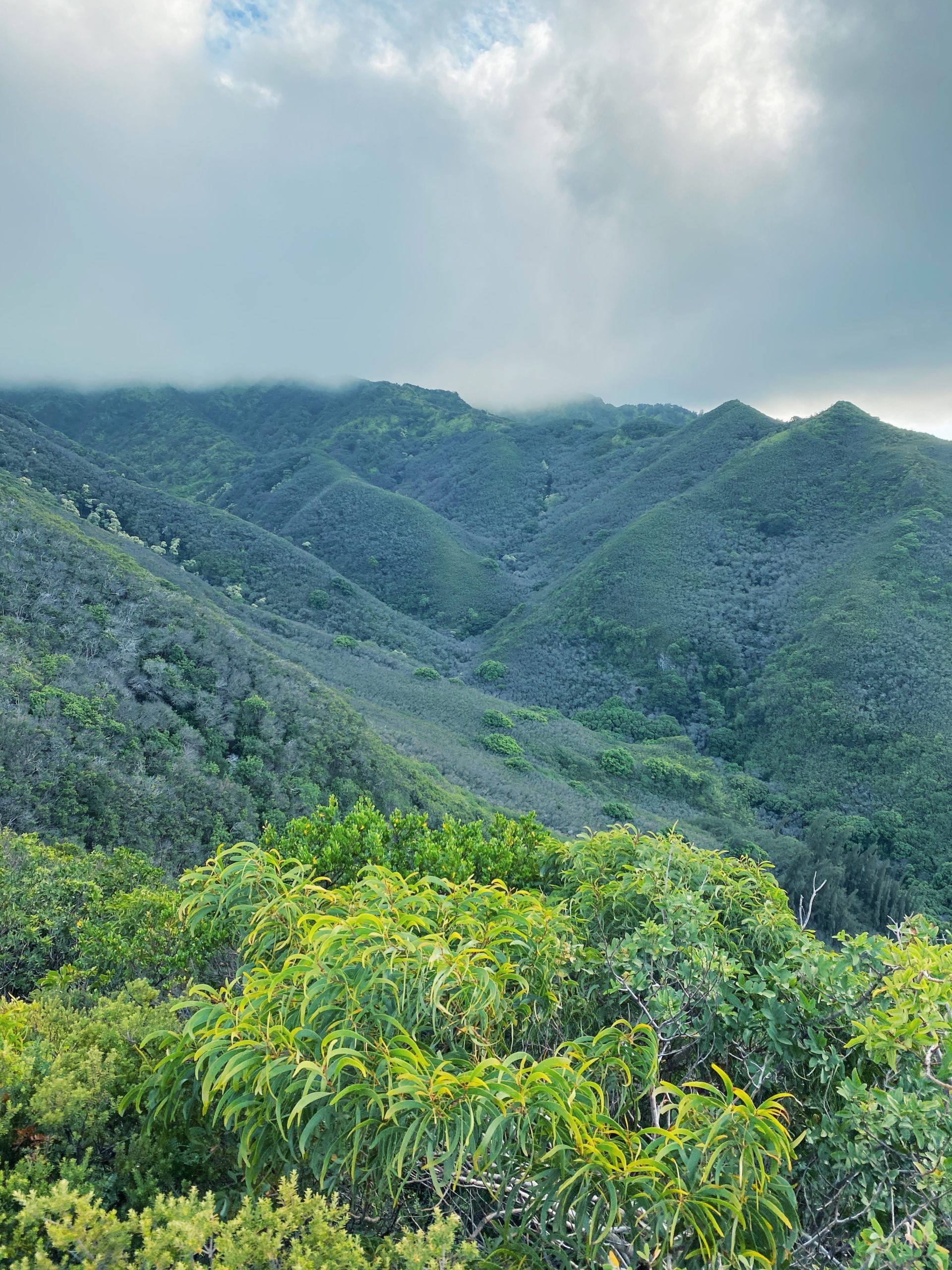Top 5 most popular hikes on Oahu