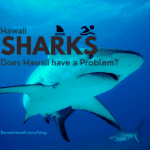 Hawaii Shark Attacks