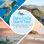 Oahu Circle Island Tour