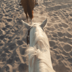 Horseback-ridin-1