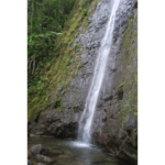 Waterfall Oahu Manoa