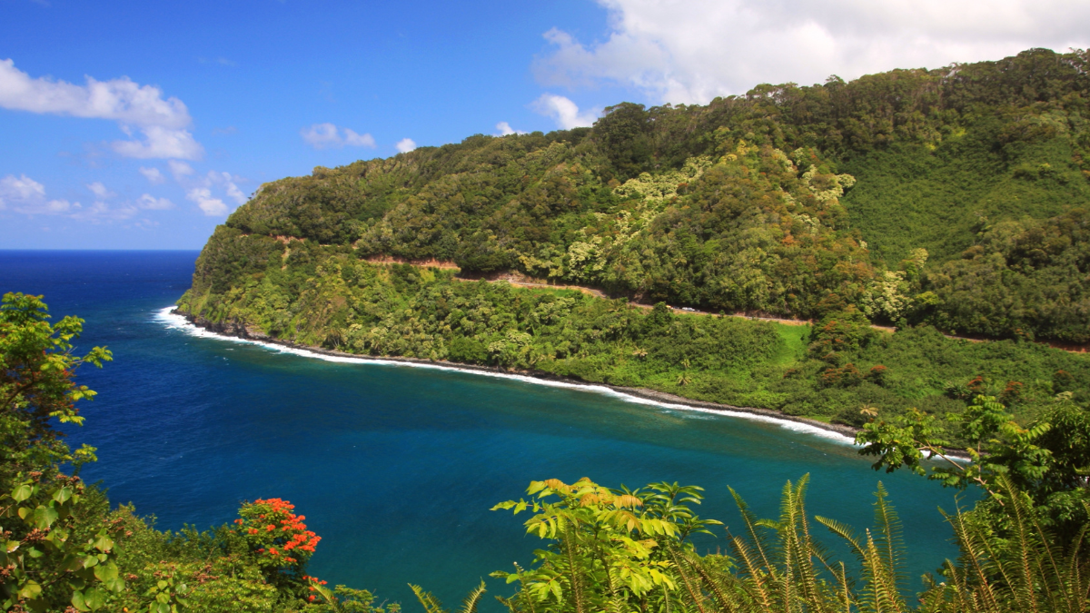 Road to Hana Maui Adventures & Tours
