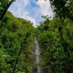 Manoa Falls Waterfall Tour